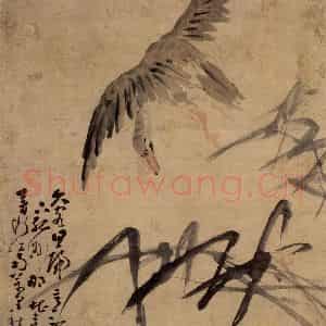 清代 黄慎《芦雁图》国画花鸟写意作品图片鉴赏