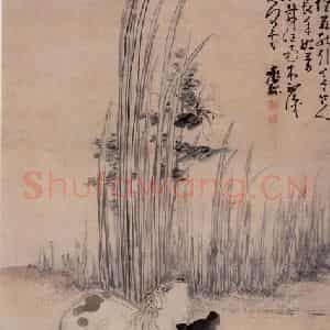 清代 黄慎《双猫图》国画花鸟写意作品图片鉴赏
