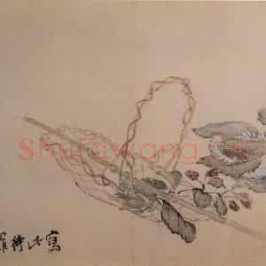 清代 李鳝《花卉册8开》国画花鸟作品图片鉴赏