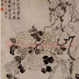 清代 李鳝《玉兰绣球》国画花鸟作品图片鉴赏