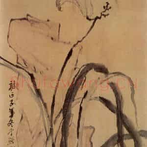 清代 李鳝《萱石图》国画花鸟作品图片鉴赏