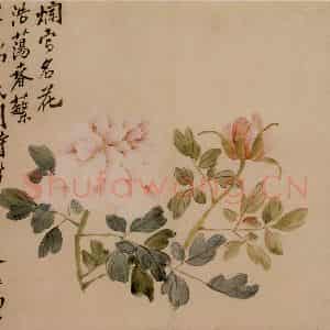 清代 李鳝《花卉册》国画花鸟作品图片鉴赏