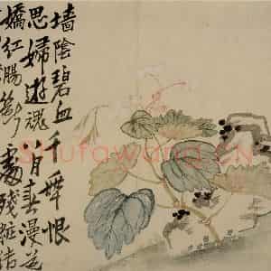 清代 李鳝《杂画8开》国画花鸟作品图片鉴赏
