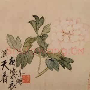 清代 李鳝《杂画8开》国画花鸟作品图片鉴赏