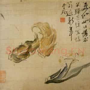 清代 李鳝《蔬果花卉》国画花鸟作品图片鉴赏