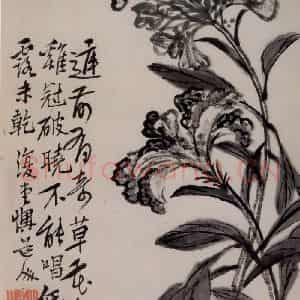 清代 李鳝《花卉册》国画花鸟作品图片鉴赏