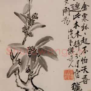 清代 李鳝《花卉册》国画花鸟作品图片鉴赏