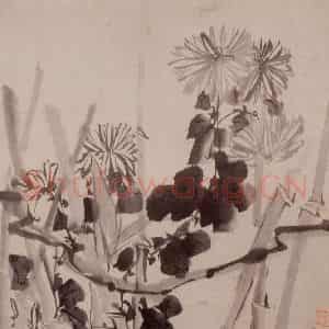 清代 李鳝《蔬果花卉》国画花鸟作品图片鉴赏