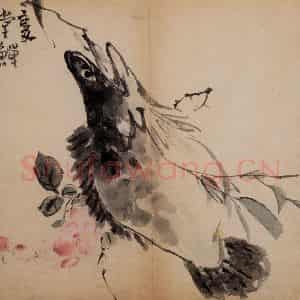 清代 李鳝《花卉册》国画花鸟作品图片鉴赏