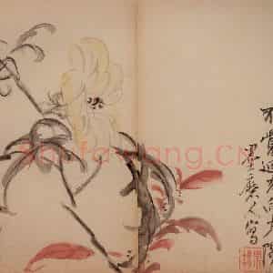 清代 李鳝《花卉册》国画花鸟作品图片鉴赏