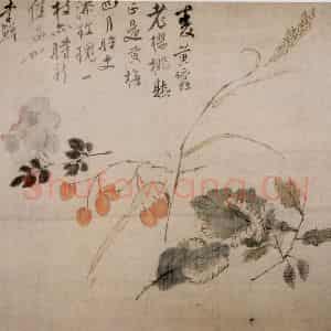 清代 李鳝《蔬果花卉》国画花鸟作品图片鉴赏