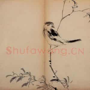 清代 李鳝《花卉册》国画花鸟作品图片鉴赏