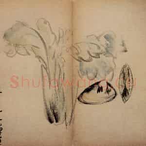 清代 李鳝《花卉册》国画花鸟作品图片鉴赏