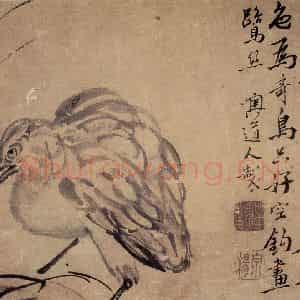 清代 李鳝《花鸟册4开》国画花鸟作品图片鉴赏