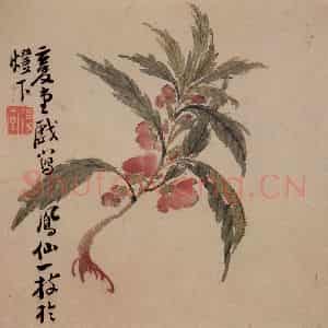 清代 李鳝《花果册12开》国画花鸟作品图片鉴赏