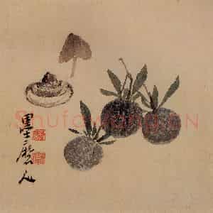 清代 李鳝《花果册12开》国画花鸟作品图片鉴赏