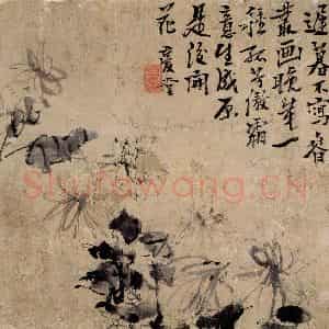 清代 李鳝《菊花》国画花鸟作品图片鉴赏