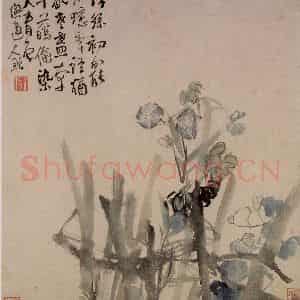清代 李鳝《花卉册》国画花鸟作品图片鉴赏