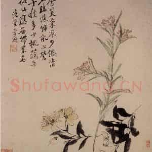 清代 李鳝《花卉册》国画花鸟作品图片鉴赏