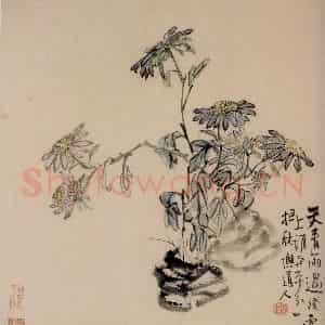 清代 李鳝《花卉册》国画花鸟作品图片鉴赏