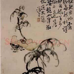 清代 李鳝《花卉册》国画花鸟作品图片鉴赏