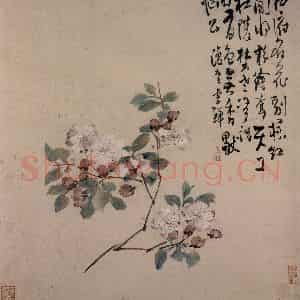 清代 李鳝《花卉册》国画花鸟作品图片鉴赏