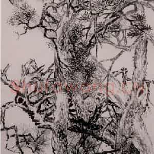 清代 李鳝《五松图》国画花鸟作品图片鉴赏