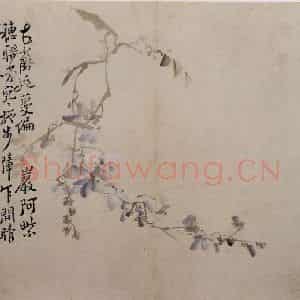 清代 李鳝《花卉册》国画花鸟作品图片鉴赏