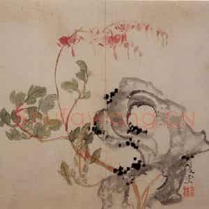 清代 李鳝《花卉册》国画花鸟作品图片鉴赏