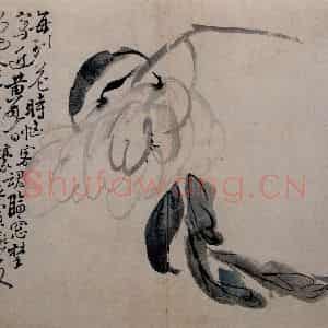 清代 李鳝《花卉册》国画花鸟作品图片鉴赏