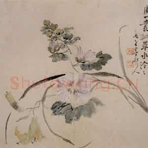 清代 李鳝《花卉册》国画花鸟作品图片鉴赏