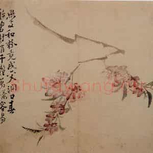 清代 李鳝《花卉册》国画花鸟作品图片鉴赏