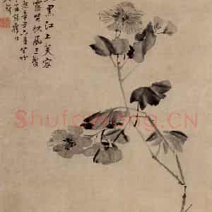 清代 李鳝《黑芙蓉》国画花鸟作品图片鉴赏