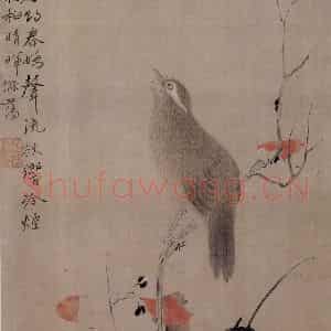 清代 华岩《花鸟草虫图》国画花鸟作品图片鉴赏