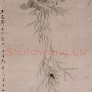 清代 华岩《梧桐柳蝉图》国画花鸟作品图片鉴赏
