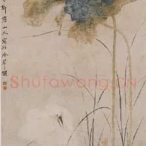 清代 华岩《青莲白鹭图》国画花鸟作品图片鉴赏