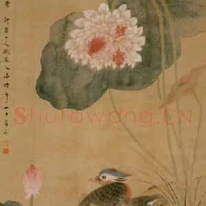 清代 华岩《荷花鸳鸯图》国画花鸟作品图片鉴赏