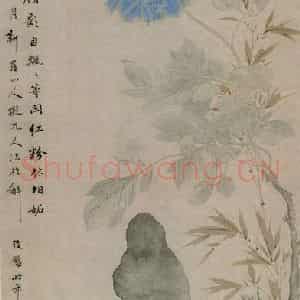 清代 华岩《牡丹竹石图》国画花鸟作品图片鉴赏