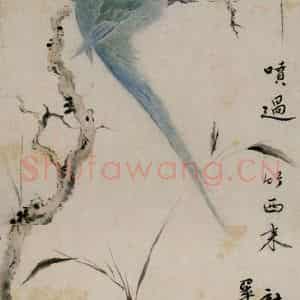 清代 华岩《枝头鹦鹉图》国画花鸟作品图片鉴赏