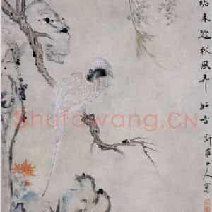 清代 华岩《设色花鸟》国画花鸟作品图片鉴赏