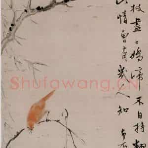清代 华岩《高枝好鸟图》国画花鸟作品图片鉴赏