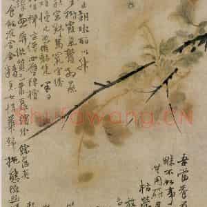 清代 华岩《菊花图》国画花鸟作品图片鉴赏