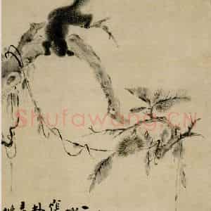 清代 华岩《栗树松鼠图》国画花鸟作品图片鉴赏