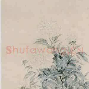 清代 华岩《芍药图》国画花鸟作品图片鉴赏