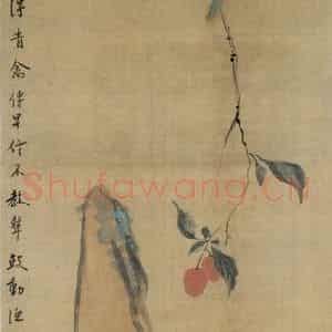 清代 华岩《鹦鹉荔枝图》国画花鸟作品图片鉴赏