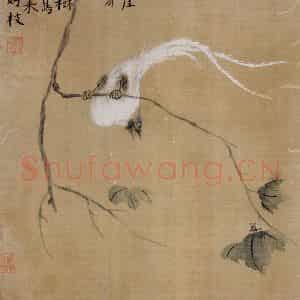 清代 华岩《杂画》国画花鸟作品图片鉴赏