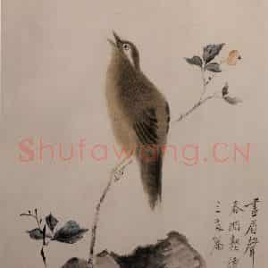 清代 华岩《花鸟图》国画花鸟作品图片鉴赏