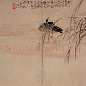 1748年 边寿民《芦雁图册》国画花鸟写意作品图片鉴赏