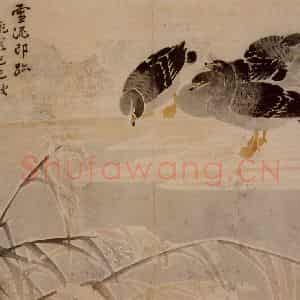 1749年 边寿民《芦雁册》国画花鸟写意作品图片鉴赏