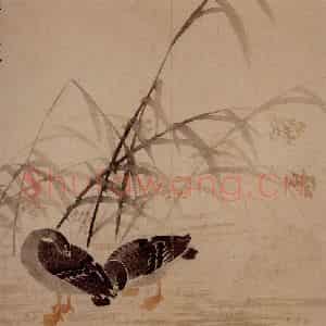 1749年 边寿民《芦雁册》国画花鸟写意作品图片鉴赏
